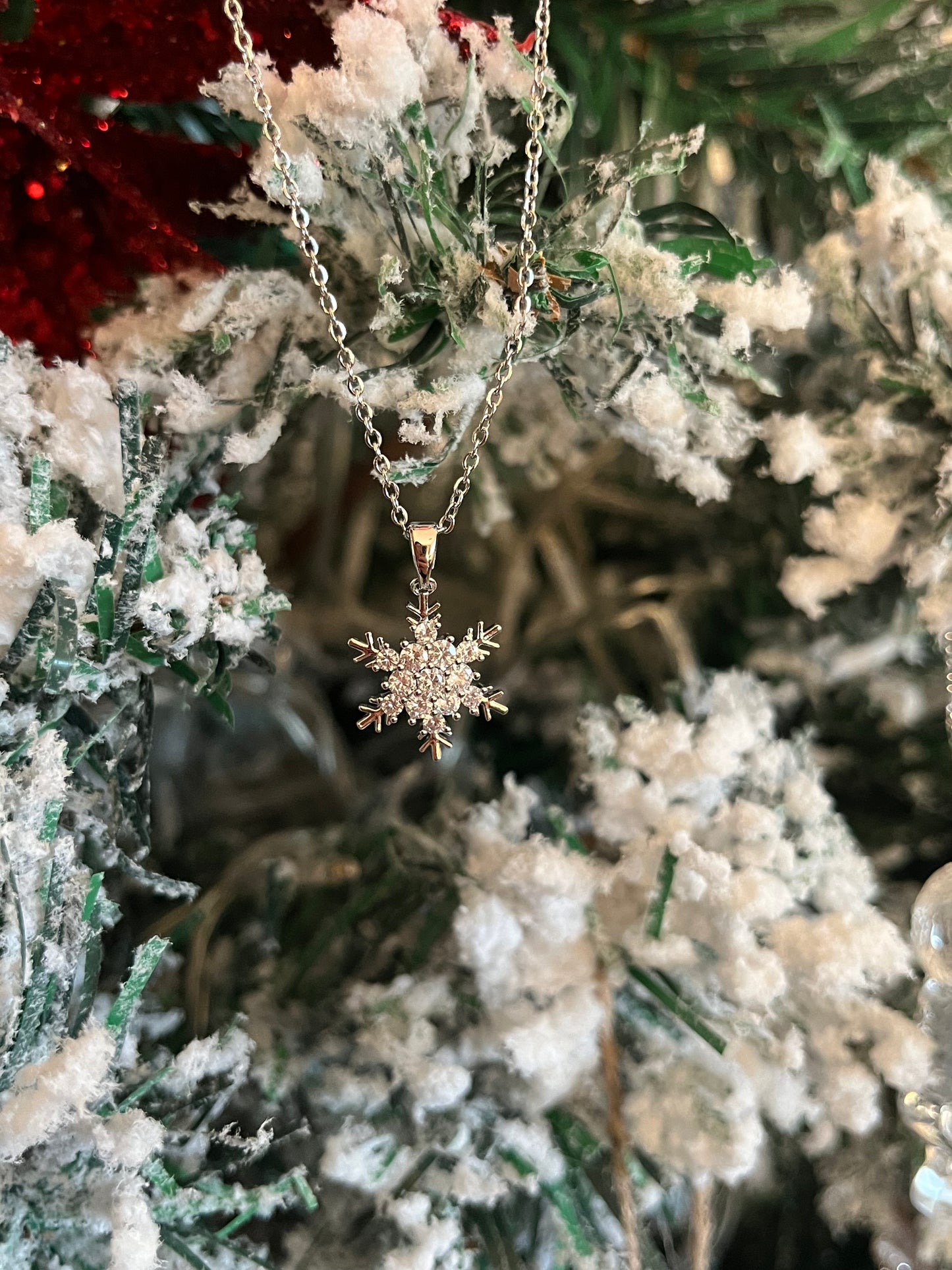 Κολιέ Ατσάλινο Αλυσίδα με Ζιργκόν 'Snowflake'