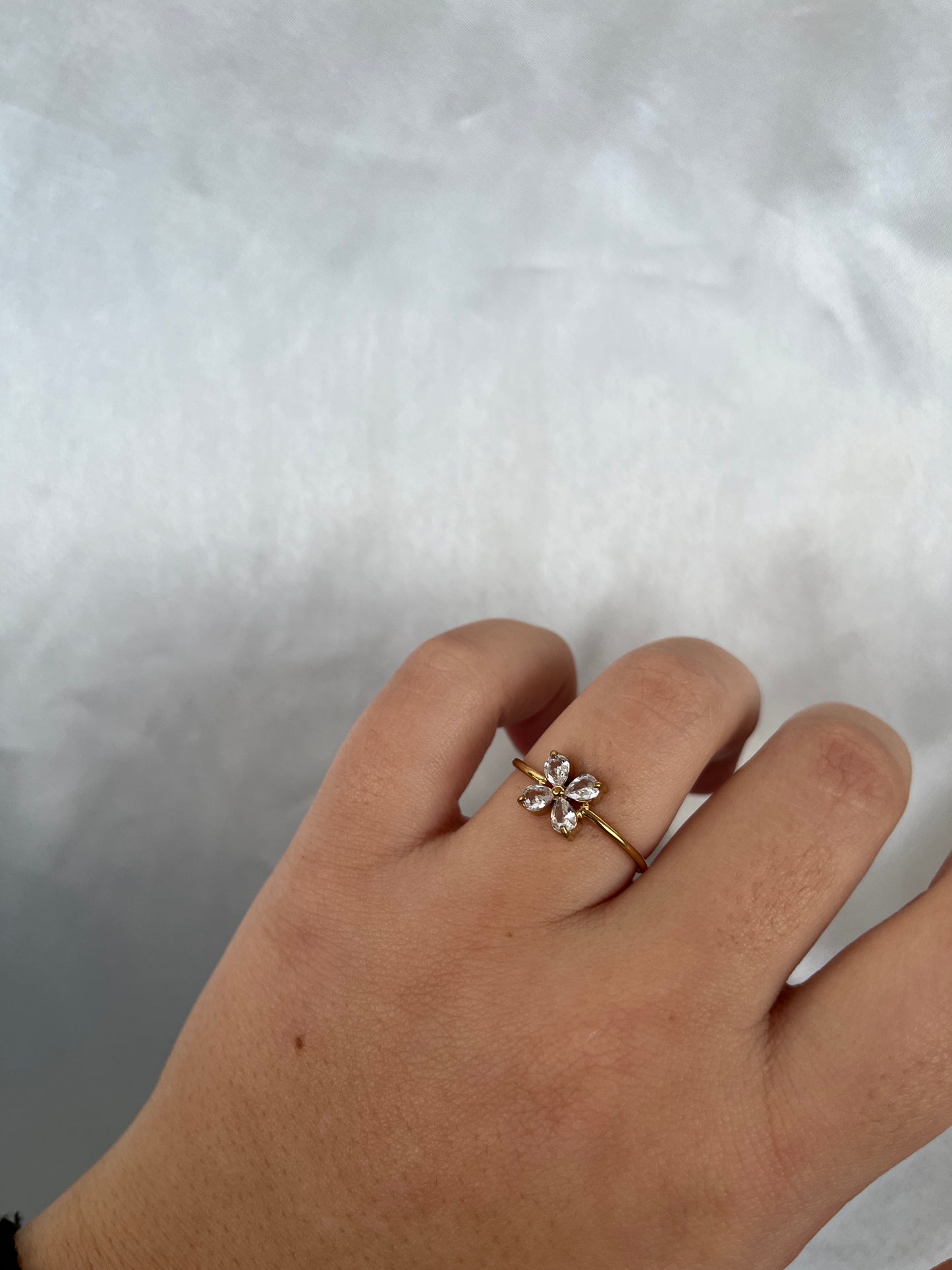 Δαχτυλίδι Ατσάλινο με Πέτρες Ζιργκόν 'Butterfly Wings'