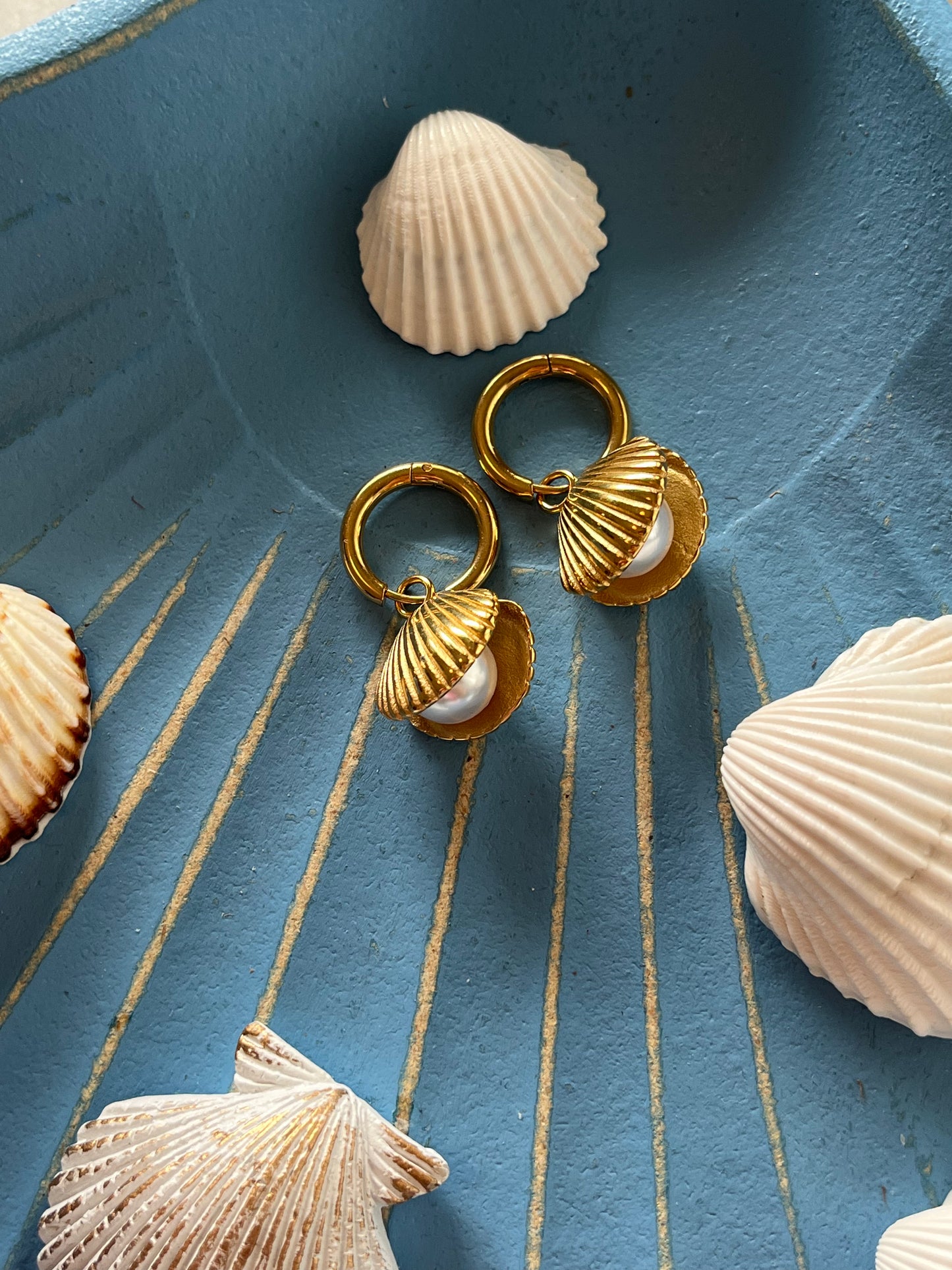 PEARL SHELL – Stainless Steel Hoop Earrings with Shell & Pearl