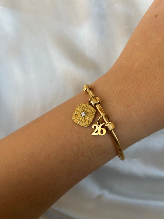 Βραχιόλι Ατσάλινο Γούρι '26 με Κωσταντινάτο και Ζιργκόν