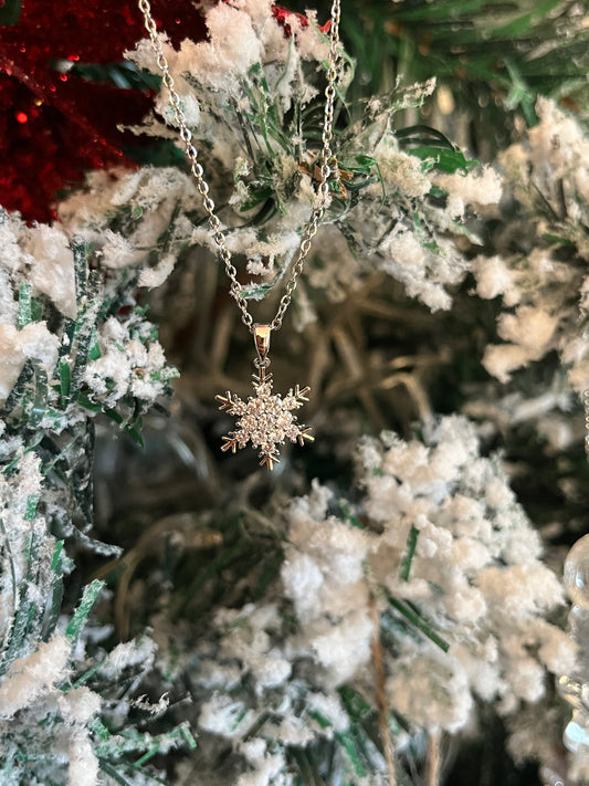 Κολιέ Ατσάλινο Αλυσίδα με Ζιργκόν 'Snowflake'