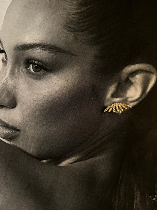 Σκουλαρίκια Ατσάλινα Καρφωτά με Ζιργκόν 'Kyra'